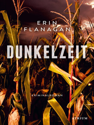 cover image of Dunkelzeit